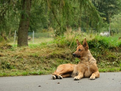 Etnoranek w Olchowcu 31.08.2025-DSCF5901.jpg